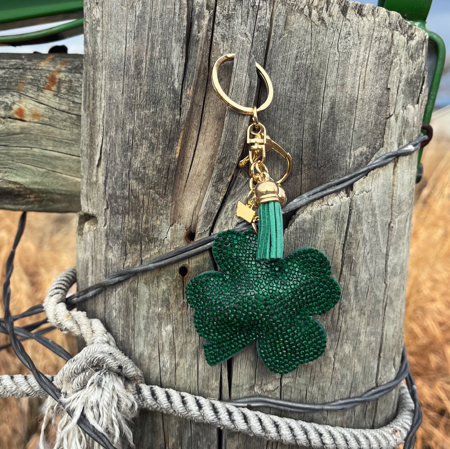 LUCKY MONTANA CHARM KEYCHAIN