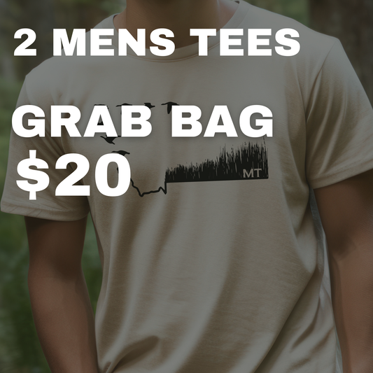2 MEN'S TEES GRAB BAG