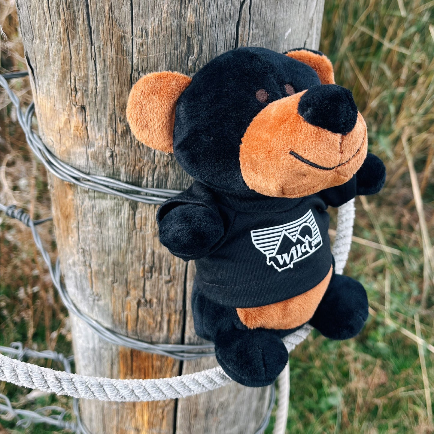 CLOSEOUT! MINI MONTANA WILD ONE BEAR